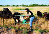 Fence Devil™ - Farm & Ranch - Green