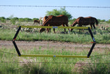 Fence Devil™ - Standard Field Service - Safety Yellow